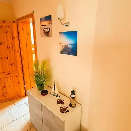 Tintenfisch Strandkorb Inkl *